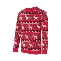 Pull Noel Famille Assorti