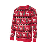 Pull Noel Famille Assorti