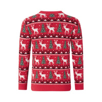 Pull Noel Famille Assorti