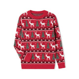 Pull Noel Famille Assorti