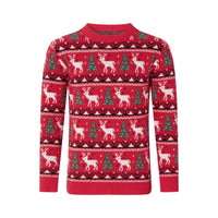 Pull Noel Famille Assorti