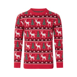 Pull Noel Famille Assorti