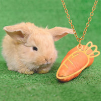 Collier Lapin Carotte Amitié