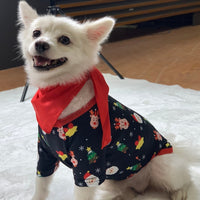 vetement chien noel