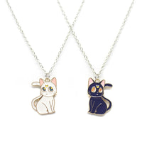 Chat Noir et Blanc Collier