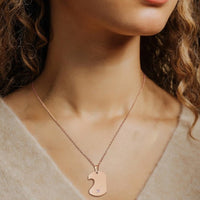 Collier plaque femme